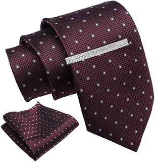 Wine Geomtric Tie For Men – Formal Ties Set With Pocket Square & Tie Pin Clip For Mens, Silk Neckties Gift Sets For Men’s (AXNW62)